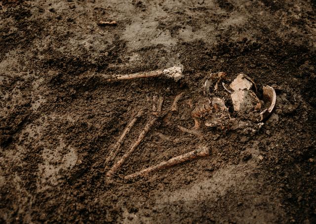 Archeologicky nalez Trnava