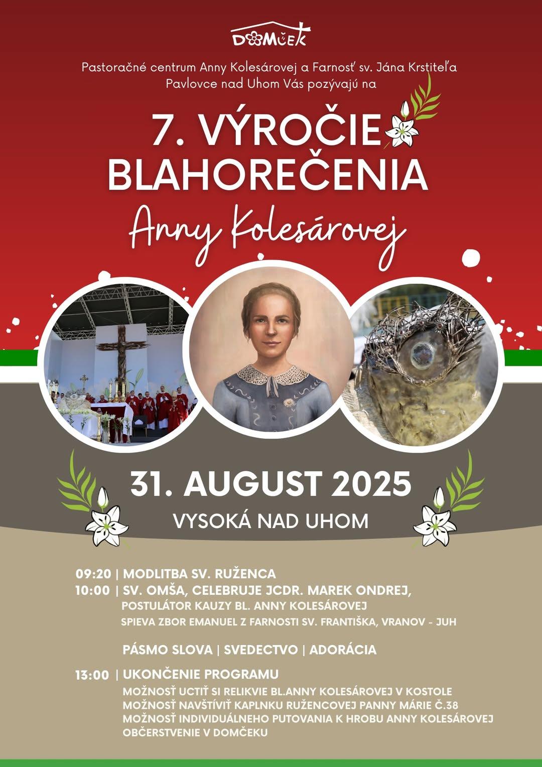 Vysoka, Anna Kolesarova, vyrocie, 7, plagat