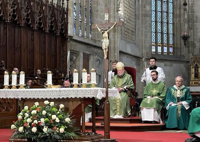 Bratislava, Gallagher, katedrala